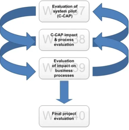 Figure 1: Overview of evaluative strands and evaluative sub-phases.