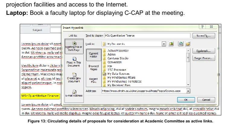 Figure 12: Academic Committee is a significant "off-line" process generating  