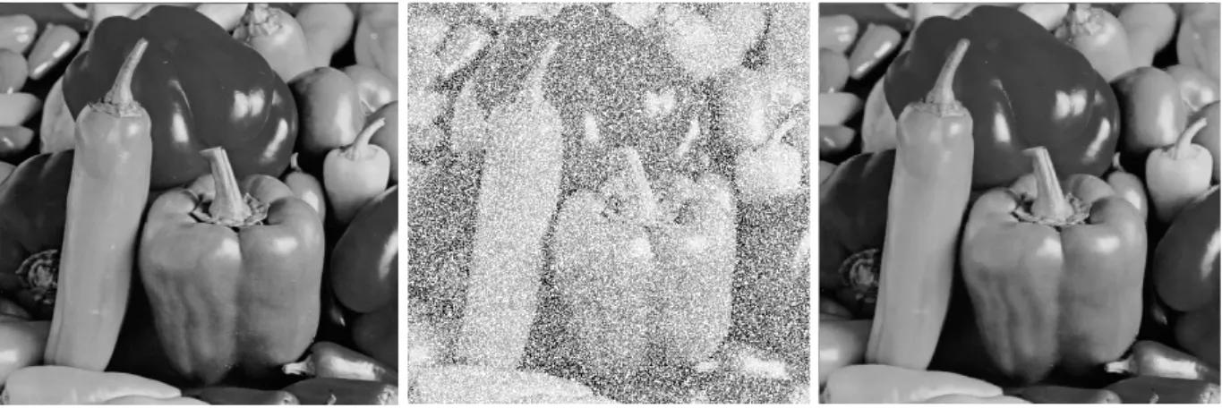 Fig. 1.1: Images