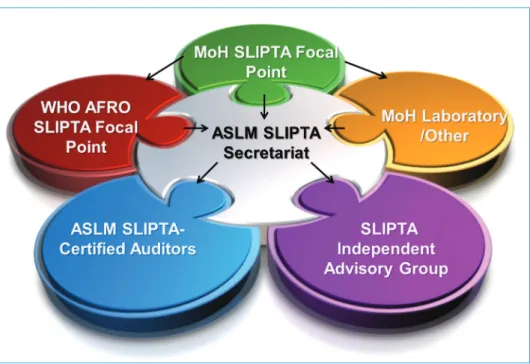 Figure 1: Stakeholder governance structure