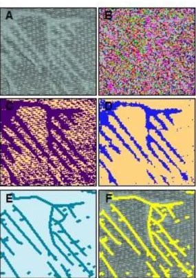 Figure 5. Image analysis process: A. Original  image; B. Unsupervised classification with 20  classes; C