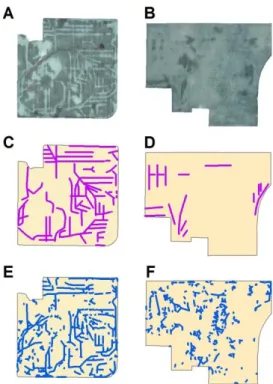 Figure 8. Differences in a high rain value field  with a low rain value field. A. Original image of  field 7; B