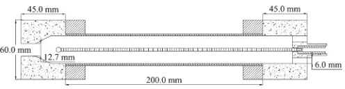 Fig. 1.Cross section of µ-ESP reactor.