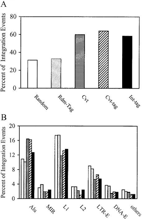 FIG. 6. Analysis of chromosomal features associated with integra-tion events by use of the high-throughput Int-tag assay and the con-