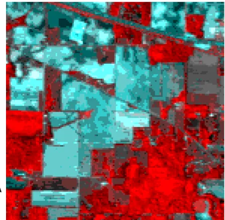 Figure 7. Data Set 92AV3C9 displayed in simulated color infrared form 16 .