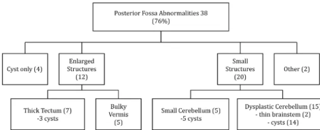 FIG 1. Framework demonstrating the posterior fossa abnormalities in patients with posteriorPNH.