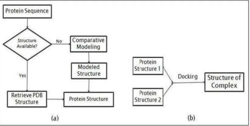 Figure 8[76] : Molecular docking and Drug design  