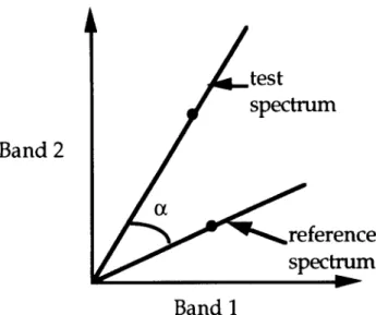 Figure  6.  Plot of a reference spectrum and test spectrum  tbr a two-band image. The same materials with varying illu-  mination are represented  by the vectors connecting the or-  igin (no illumination) and projected through the points rep-  resenting th