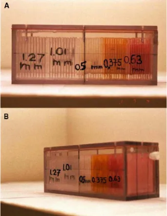 Fig. 8. Phantom image: (A) front view (in-plane), (B) side view. Spacers (sheets) width for each cluster is written on the image.