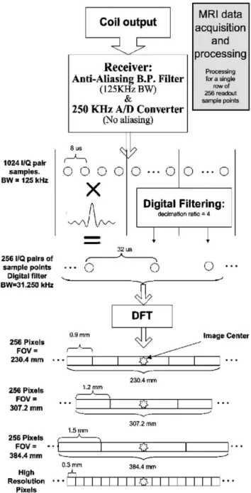Fig. 1. MRI data acquisition and processing. The figure demonstrates the steps in generating a single 1256 line of the MR image