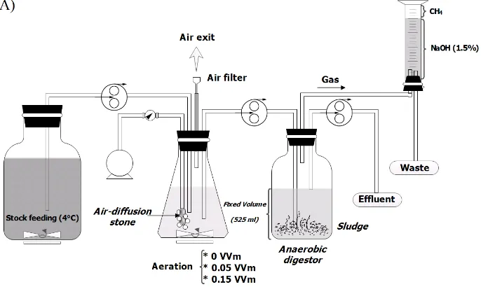 Fig. 2 shows results obtained at strict anaerobic and Low-micro-aerobic conditions. At strict anaerobic conditions, it is clear that the digestion of such wastewater is high at an optimal OLR of 3 g/l.d, with an efficiency of almost 98%, considering COD an
