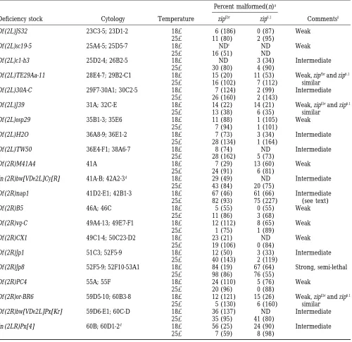 TABLE 2