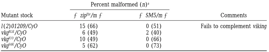 TABLE 5