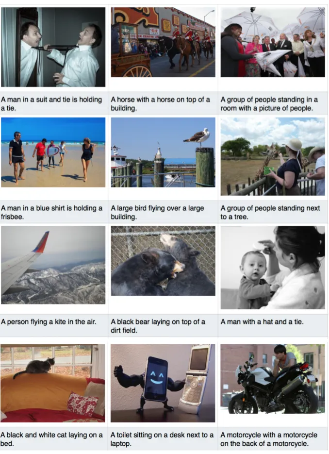 Figure 6: A selection of evaluation results, when the method cannot generate accurate captions.