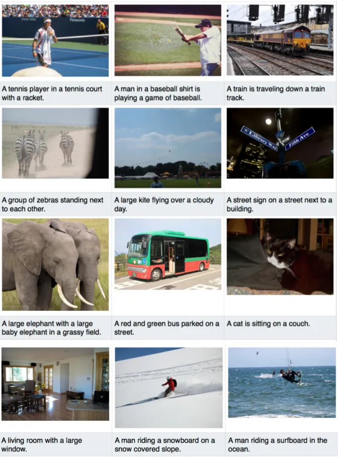 Figure 5: A selection of evaluation results, when the method can generate accurate captions.