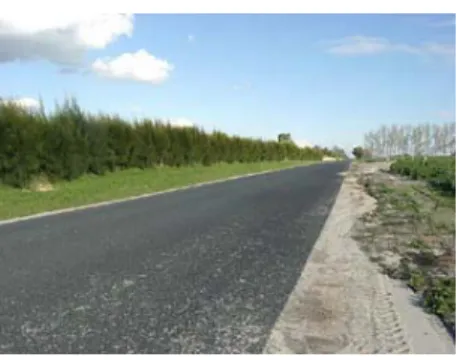 Figure 17   Buffer planting can be used as a windbreak or visual screen.