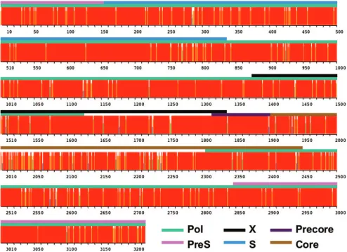 FIG. 1. Alignment histogram of 16 full-length HBV genome sequences. The different colored bars above the histogram denote the codingregions for the indicated proteins