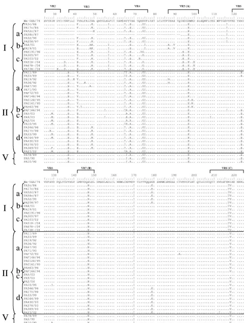 FIG. 2. Alignment of the VP7 deduced amino acid sequences of Italian G1 strains compared to reference strain Wa