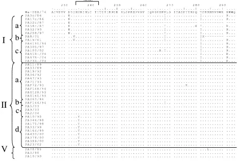 FIG. 2—Continued.