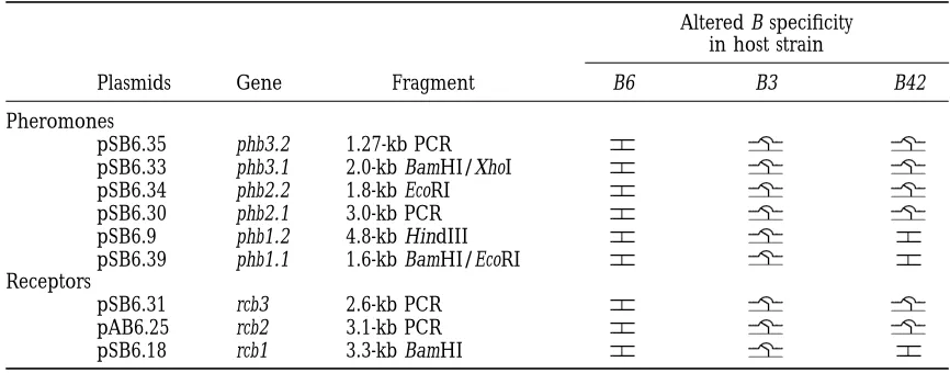 TABLE 2
