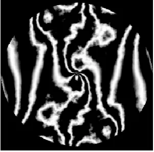 Fig. 3: Representation of straight interference fringe pattern in the absence of turbulence with D/r0 =0