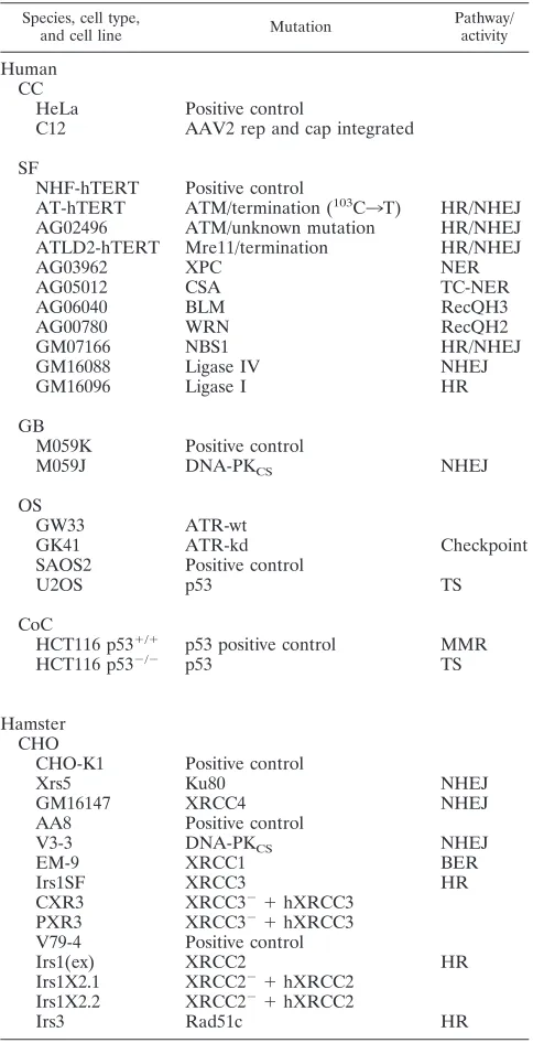 TABLE 1. Summary of cell lines used in the current studya