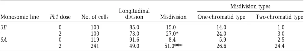 TABLE 1