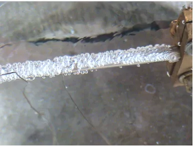 Figure 5 shows the photograph of heater rod in nucleate boiling regime. The intensity of bubble formation and matching intensity of bubble detachment from the heater rod gives vivid picture of the involved dynamics