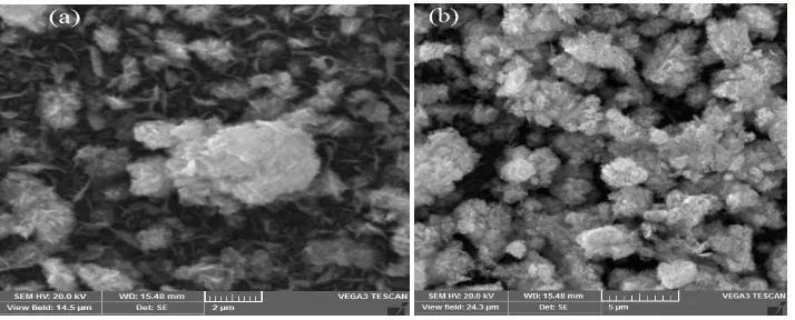 Table 1  shows the as-deposited ZnIn2S4 film composition at Wt% and At %.Surface morphology of as-deposited was studied from FESEM images