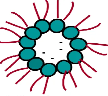 Fig. 2 Structure of reverse micelle  