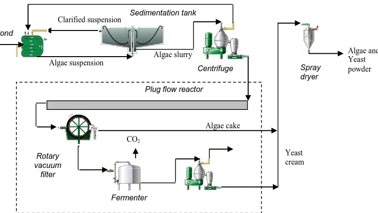 Figure 3. Large scale algae production process showing proposed additional steps 