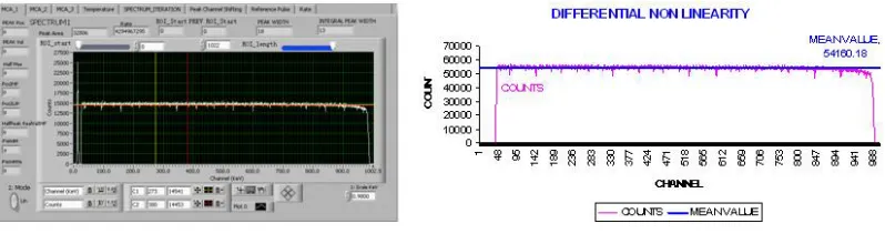 Fig. 9:  Displayed DNL test result  