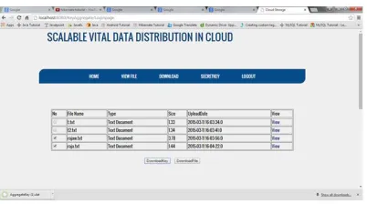 Figure 3: user can view the list of files send by the admin   
