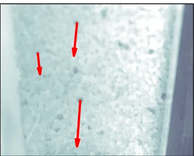 FIG. 4: The velocities assigned to the eleventh frame in the sequence depicted in Fig