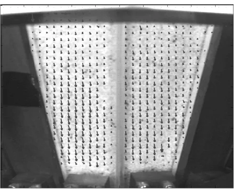 FIG. 5: The time-averaged velocity ﬁeld is generated by spatially binning the velocities for every