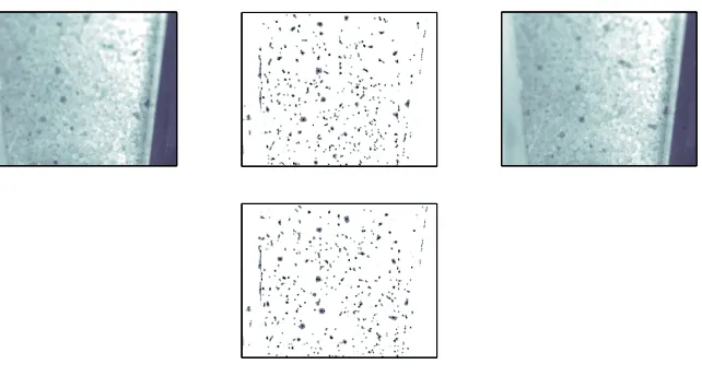 FIG. 3: Velocities are determined from identifying tracer particles and regressing over twenty-one