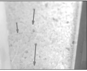 FIG. 3. Velocities are deter-
