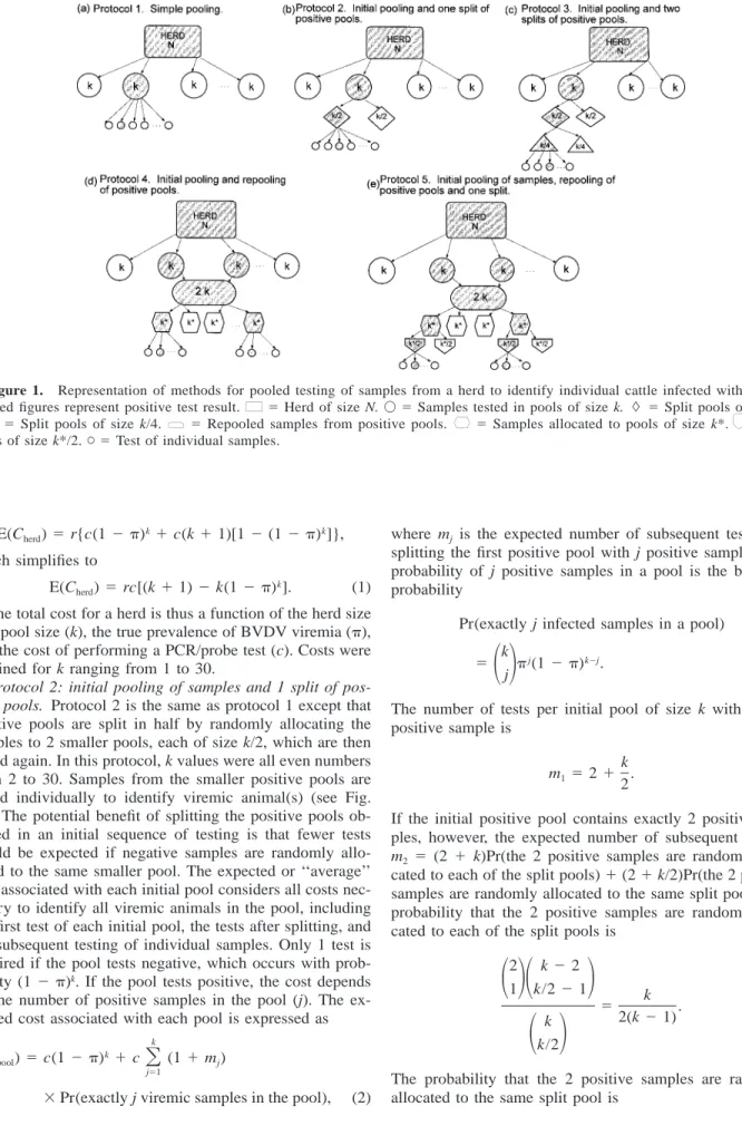 Figure 1. Representation of methods for pooled testing of samples from a herd to identify individual cattle infected with BVDV.