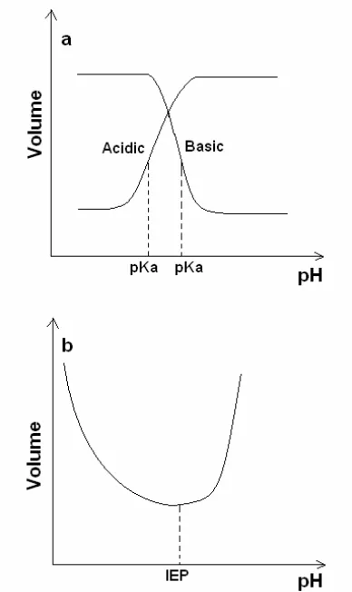Figure 1: Schematic pH dependent swelling of pH responsive polymers in water. a) Acidic and basic polymers; b) amphoteric polymers (redrawn from [2])