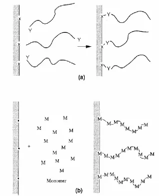 Figure 6. Creation of grafted surfaces by: a direct polymer coupling reaction; b graft 