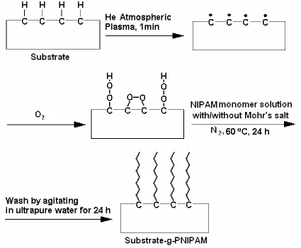 Figure 2. The schematic of graft copolymerization of NIPAM on PS and nylon surfaces. 