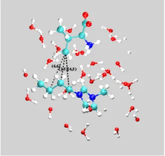Figure 10. Snapshot from a simulation of Val mixtures, showing the distances (Ǻ) between the CG atom of Val and the carbon atoms of the cation’s alkyl chain