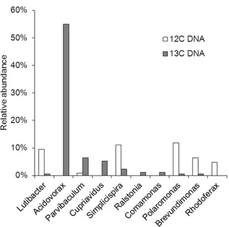 Table 1. Primers used in this study.