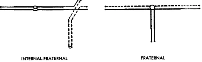 FIGURE 2.-Two secondary trisome. The normal chromosomes are represented by 