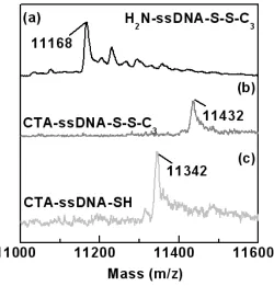 Figure 3.1. MALDI-MS spectra of (a) ssDNA, (b) CTA-coupled ssDNA, and (c) CTA-coupled ssDNA after thiol reduction