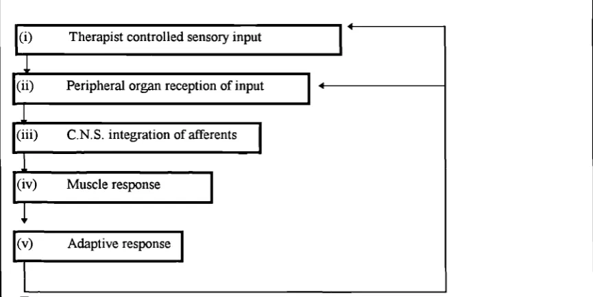Figure 2.5.8.1: Synchronic Model of