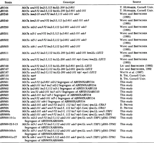 TABLE 1 Yeast strains used in this study 