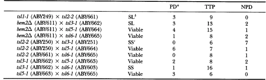 TABLE 2 