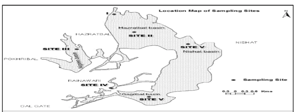 Fig. 1 :Sampling Sites in Dal Lake  