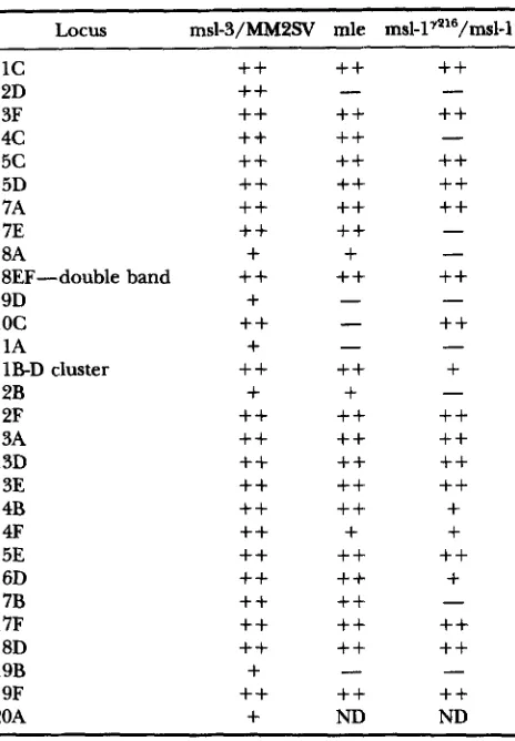 TABLE and data not shown),  suggesting that at least one of the tein and could  still complement 5 H83M2 transgenes was intact for msG2 mG2 the mutants (Figure M S L S S L 1  1 binding sitee in function